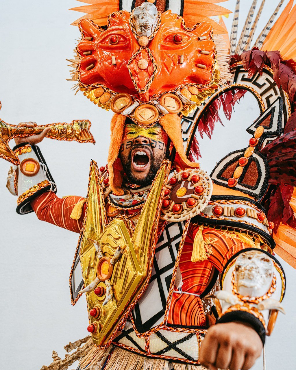 Beija-Flor de Nilópolis disponibiliza fantasias para o Rio Carnaval 2027